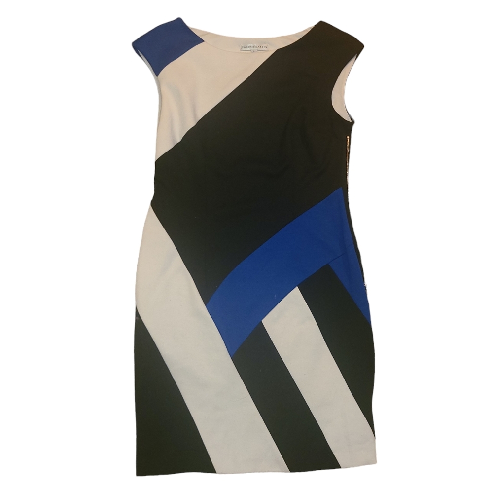 Sandra Darren Colorblock Dress